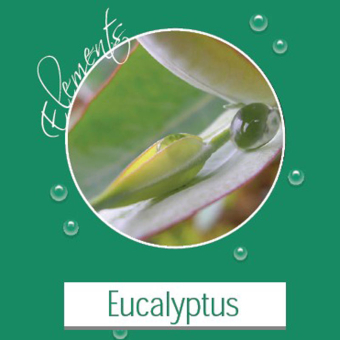 ELEMENTS Aufgusskonzentrat 100 ml Flasche - Eucalyptus