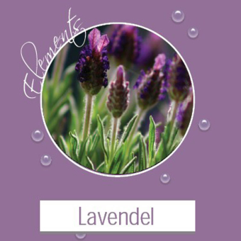 ELEMENTS Aufgusskonzentrat 100 ml Flasche - Lavendel